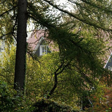Panoramablick Appartement - Traumhaft! Ober-Hambach 외부 사진