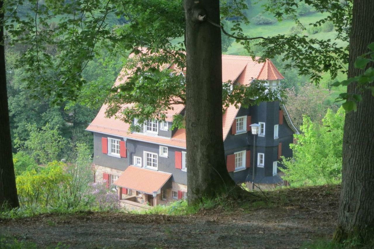 Panoramablick Appartement - Traumhaft! Ober-Hambach 외부 사진