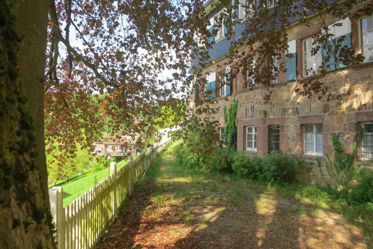 Panoramablick Appartement - Traumhaft! Ober-Hambach 외부 사진